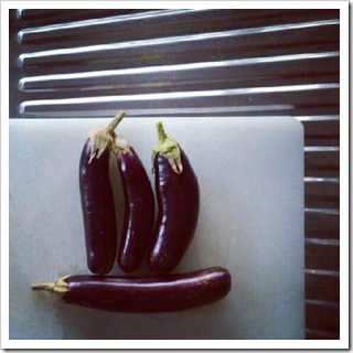 aubergine harvest