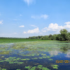 IMG_3414.JPG