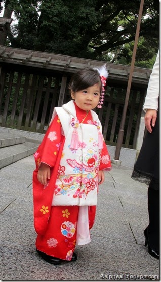 IMG_5858 IMG_5858