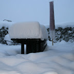Gigi-2010-1.JPG