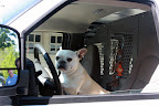 Uhh...Chris?  Hop in - I'm serious!