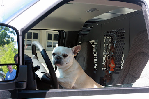 Uhh...Chris?  Hop in - I'm serious!