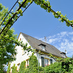 DSC_9475.jpg