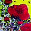 Amapolas