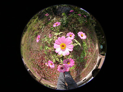 COOLPIX 4500 + FC-E8 COOLPIX 4500 + FC-E8