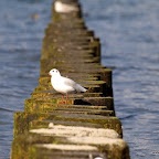 20100822_066_small.JPG