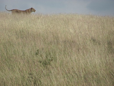 IMG_5559 IMG_5559