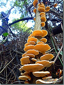 P1200306 P1200306