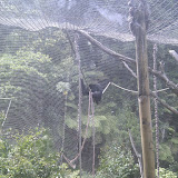 zoo jan 2012