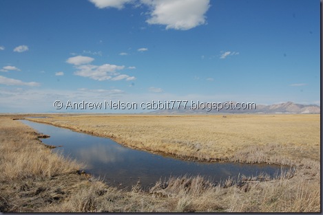 DSC_0629 DSC_0629