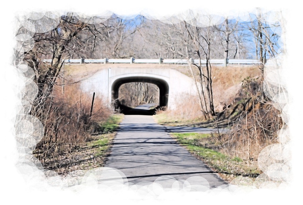 [DSC_0003%255B5%255D.jpg]