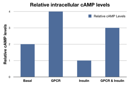 c_amp.png C amp