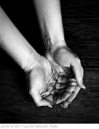 'found' photo (c) 2011, Lauren Mitchell - license: http://creativecommons.org/licenses/by/2.0/