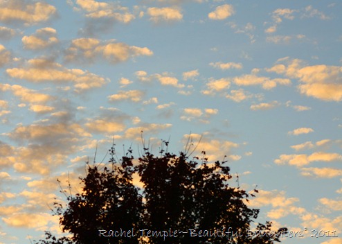 Rachel Temple~Beautiful Daughters© 2011