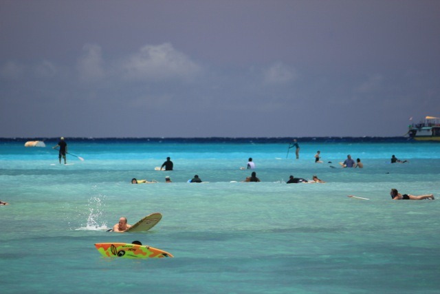 [IMG_84292.jpg]