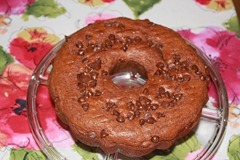 Double Chocolate Pudding Cake