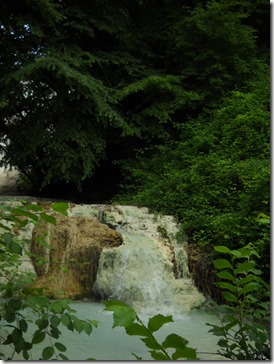 DSCN2648 DSCN2648
