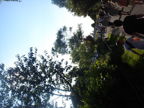 DSC04231.jpg