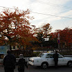 hokkaido_040.jpg