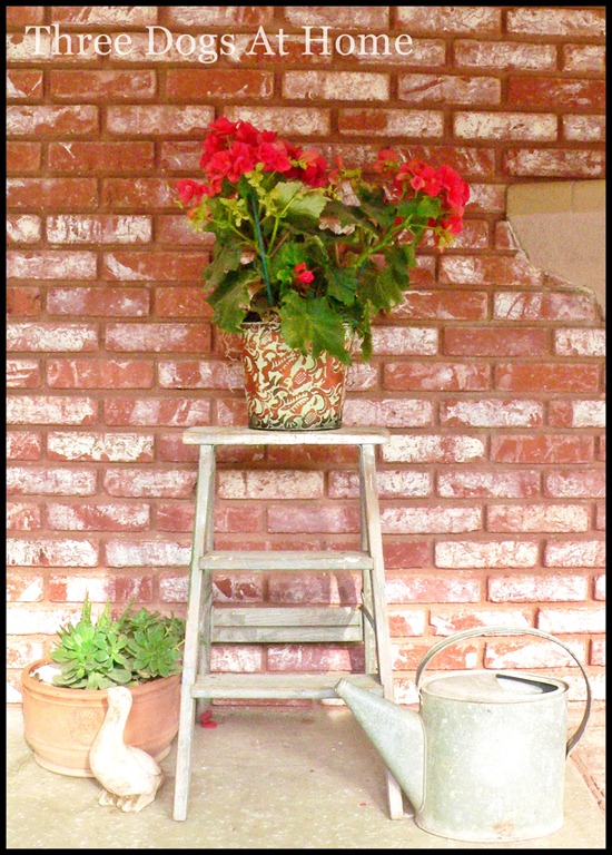 [curtain-and-patio-0344.jpg]