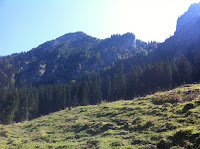 IMG_1941.JPG Photo