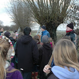 Bomen knotten