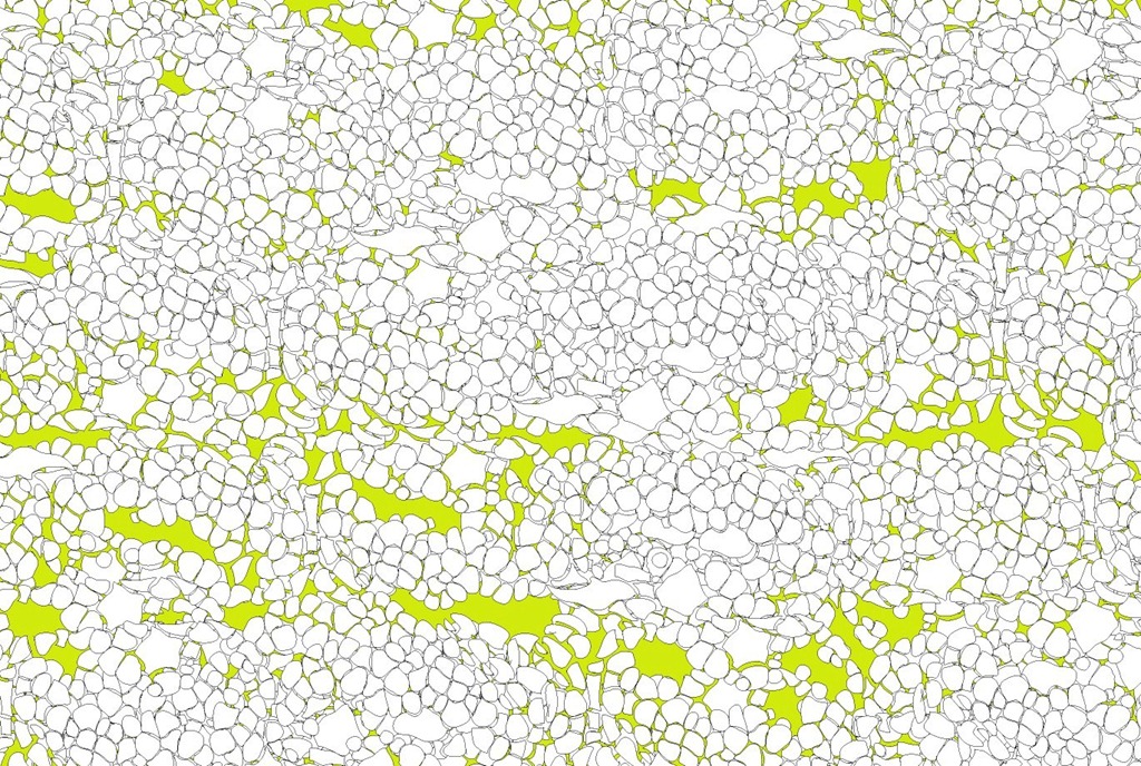 [barn%255B9%255D.jpg]