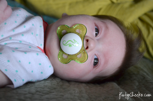 [DSC_8698%255B2%255D.png]