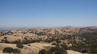 DSC02995.jpg