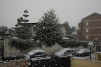 IMG_2950.JPG