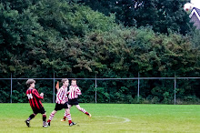 2013101005 - WVV D4 - NOORDSTER D2 - 002.jpg