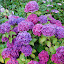 DSC06214.JPG