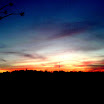 DSC00795.JPG