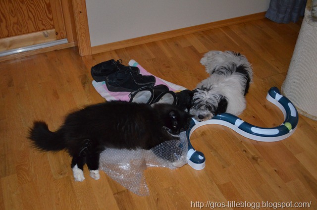 [DSC_0006%255B6%255D.jpg]
