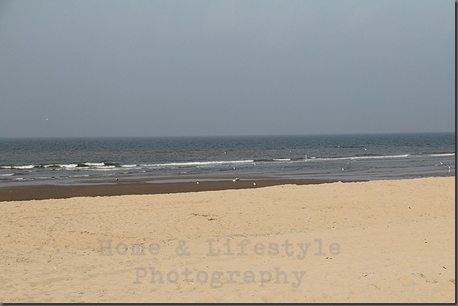Home & Lifestyle Home & Lifestyle