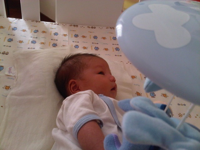 [IMG00951-20120106-0944%255B3%255D.jpg]