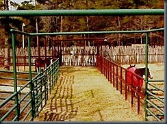 Riding Arena 01 Riding Arena 01