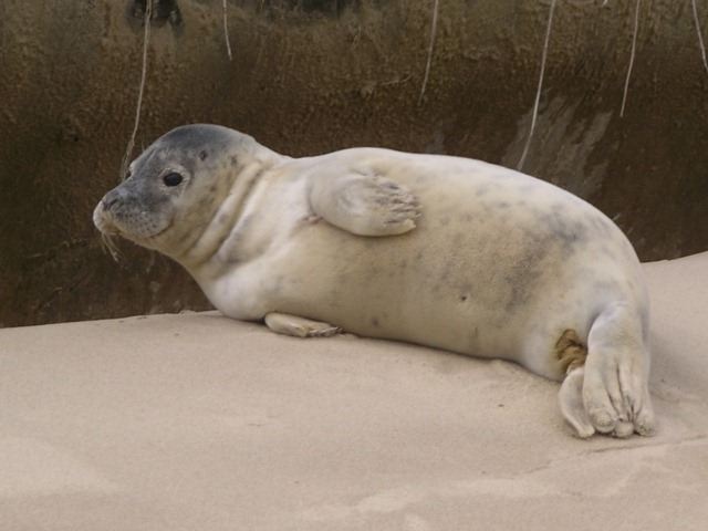 IMGP2136