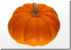 Zucca Zucca