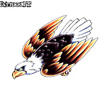 eagle-51.jpg