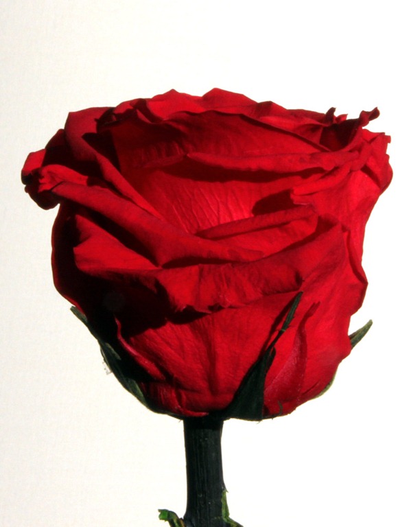 [IMG_2289%255B4%255D.jpg]