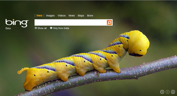 bing-desktop-windows-tool