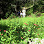 Hiking above Cuiteco.jpg Hiking above Cuiteco.jpg
