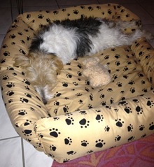 Maggy3 Maggy3