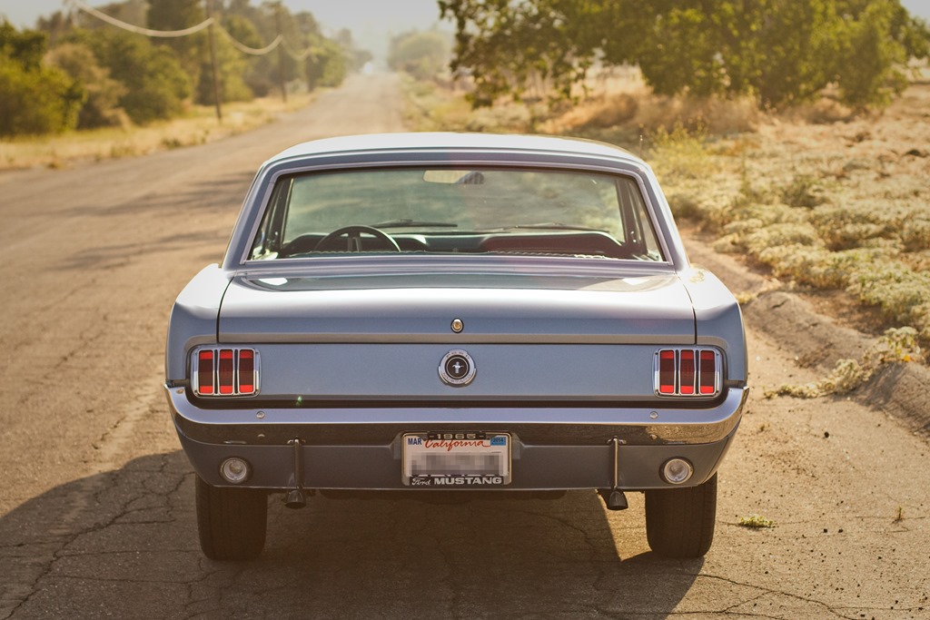 [20130625-IMG_277411.jpg]