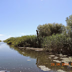 DSCN4182.JPG