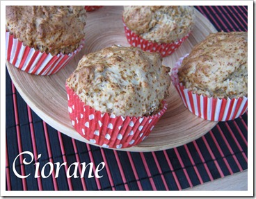 muffins-vegan muffins-vegan