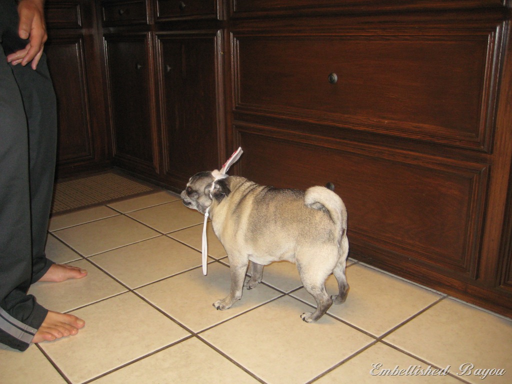 [IMG_4153%255B6%255D.jpg]