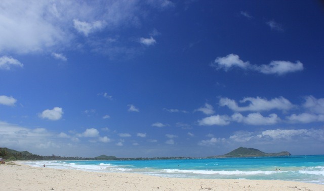 [IMG_83392.jpg]