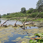 DSCN8288.JPG